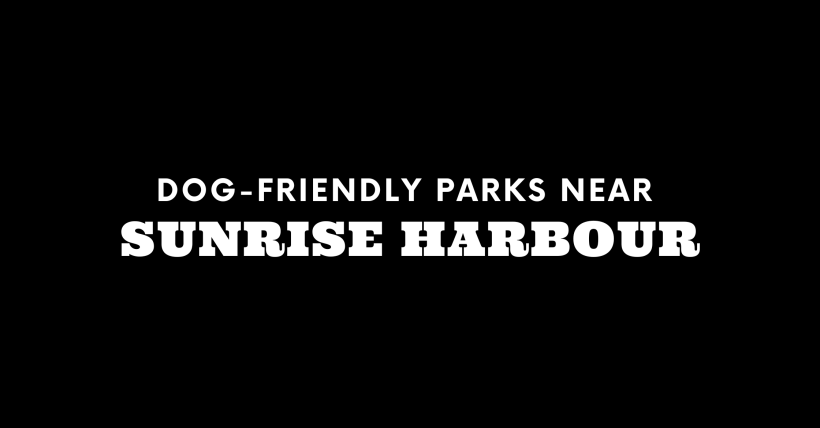 Dog-Friendly Parks Near Sunrise Harbour